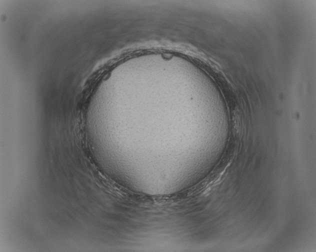 X0000076221494200610191519