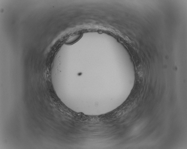 X0000076221495200610191519