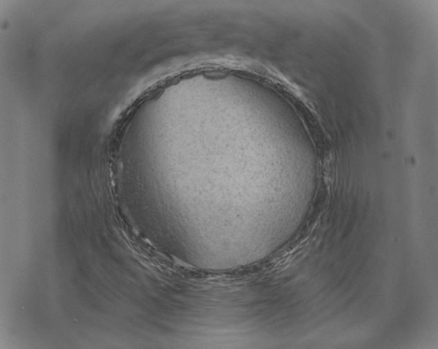 X0000076221496200610191519