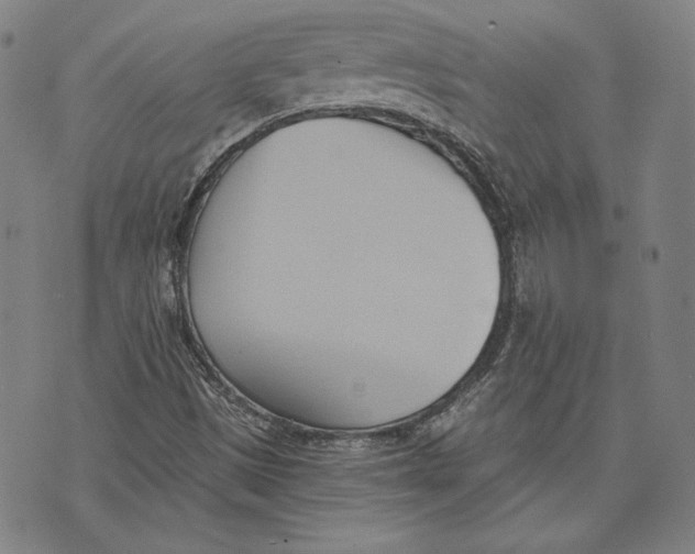 X0000076221497200610191519