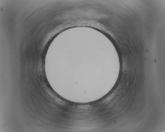 X0000076221498200610191519