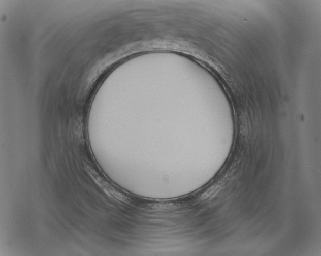 X0000076221499200610191519