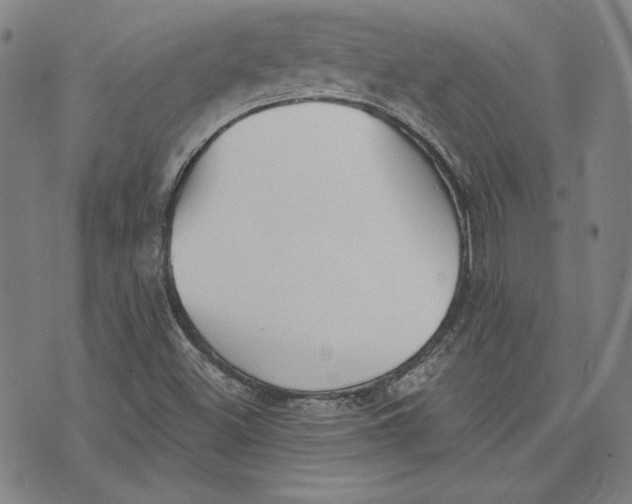 X0000076221500200610191519