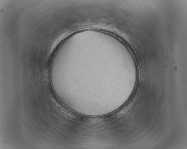 X0000076221501200610191519