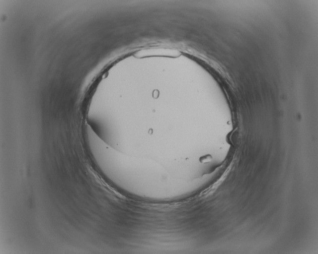 X0000076221502200610191519