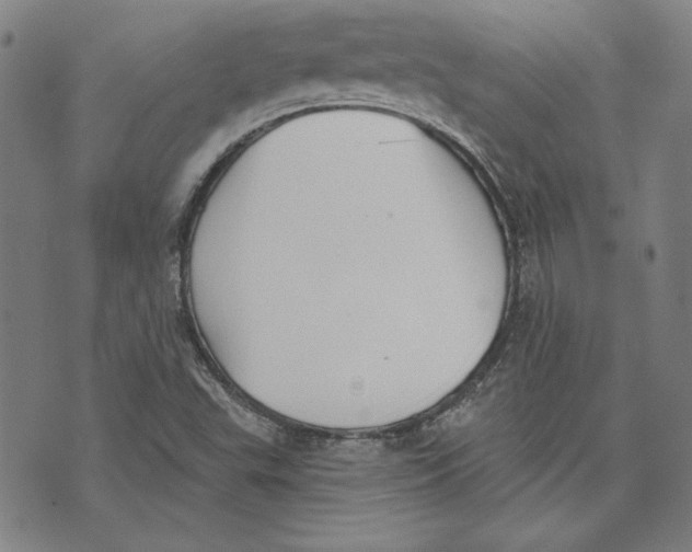 X0000076221503200610191519