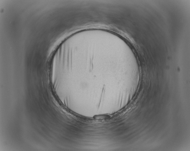 X0000076221504200610191519