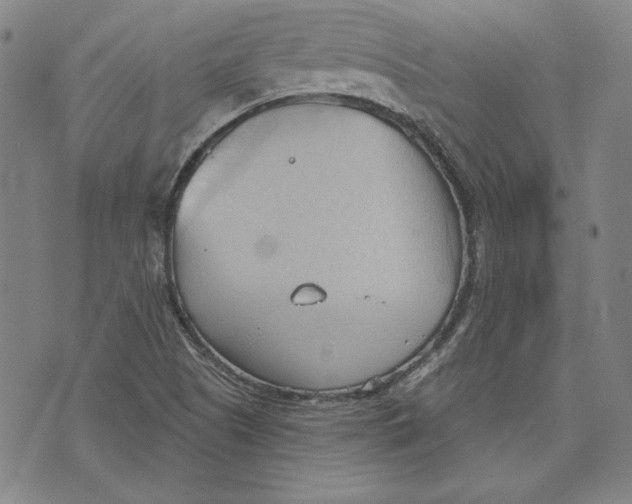 X0000076221505200610191519