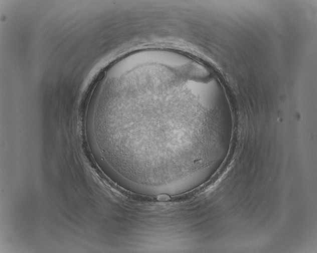 X0000076221506200610191519