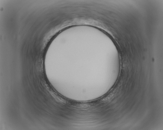 X0000076221507200610191519