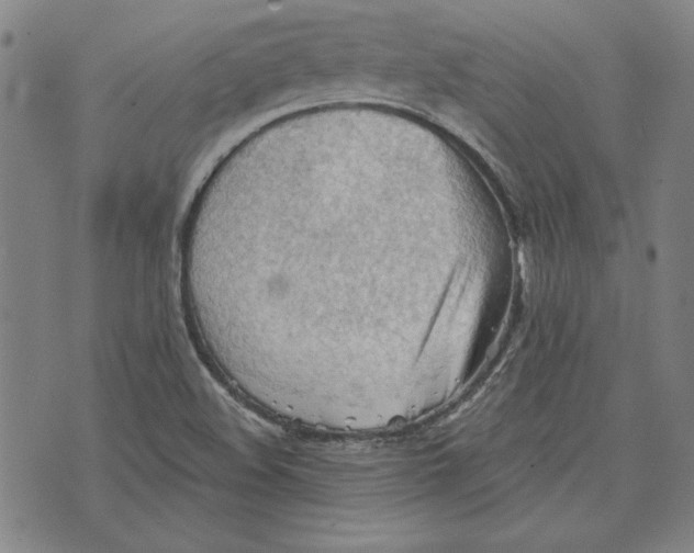 X0000076221508200610191519