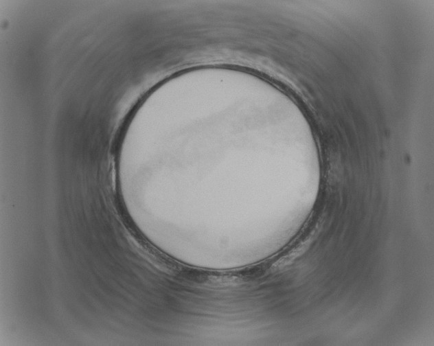 X0000076221509200610191519