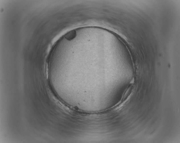 X0000076221510200610191519