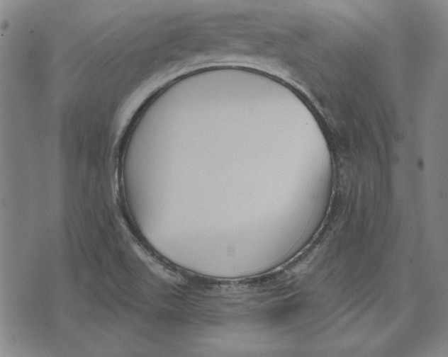 X0000076221511200610191519