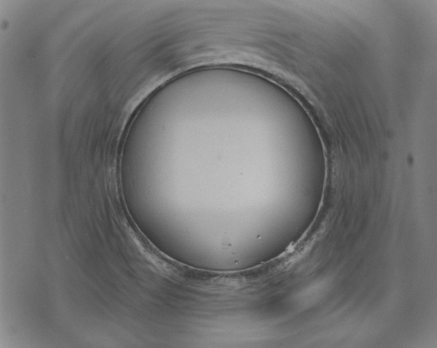 X0000076221513200610191520