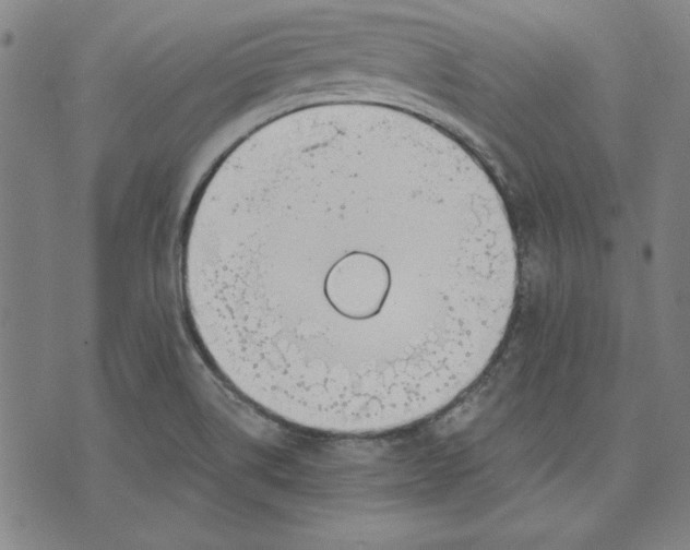 X0000076221514200610191520