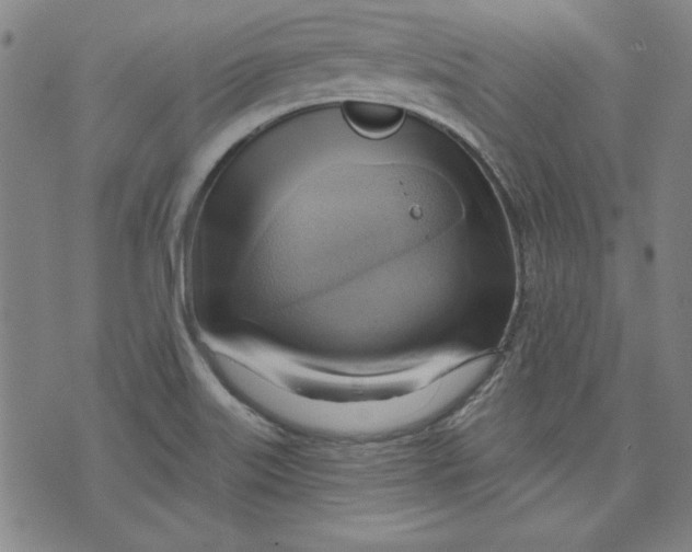 X0000076221515200610191520