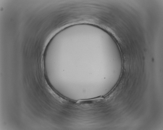 X0000076221516200610191520