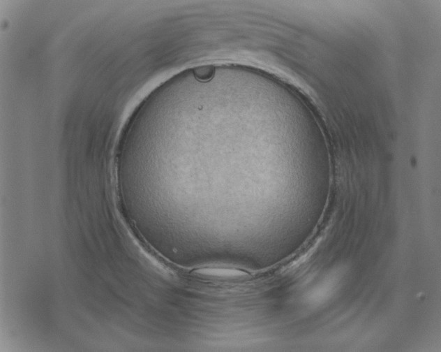 X0000076221517200610191520