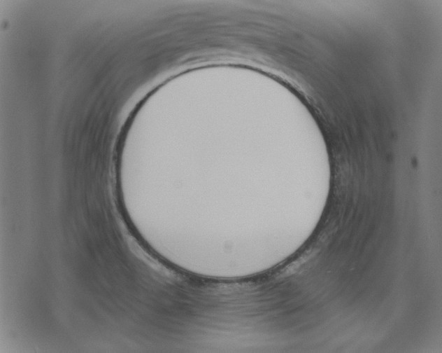 X0000076221518200610191520