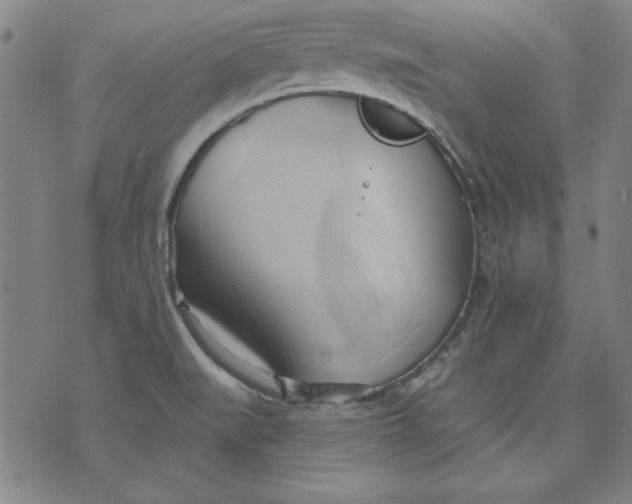 X0000076221519200610191520