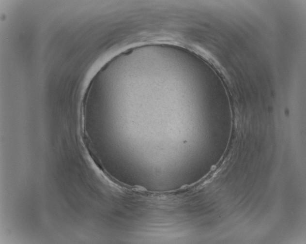 X0000076221520200610191520