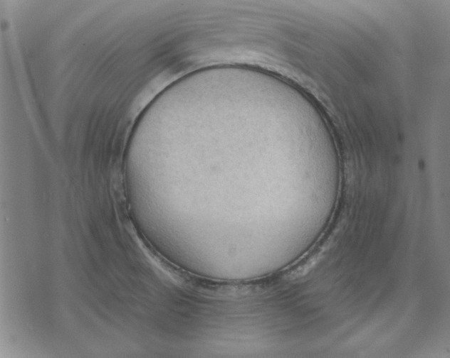 X0000076221521200610191520