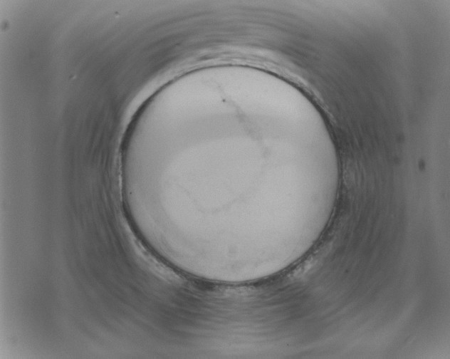 X0000076221522200610191520