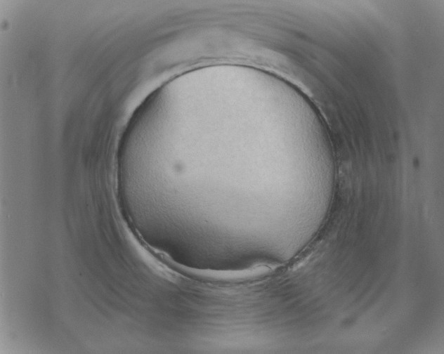 X0000076221523200610191520