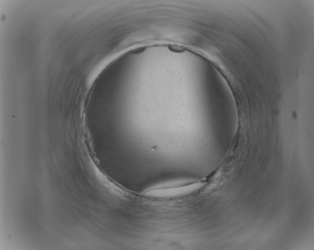 X0000076221524200610191520