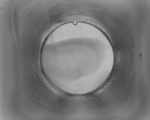 X0000076221525200610191520