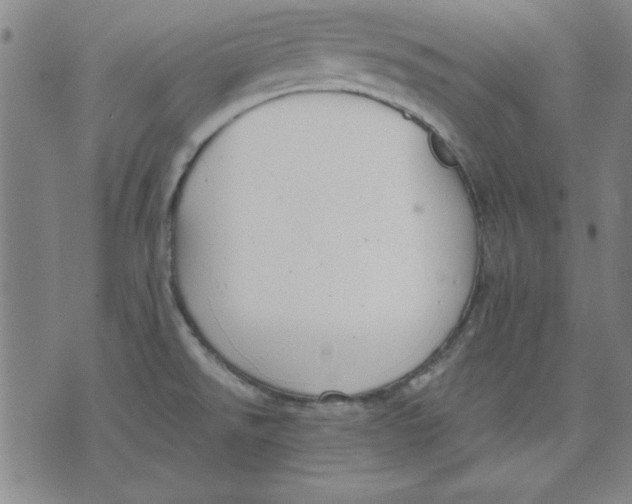 X0000076221526200610191520