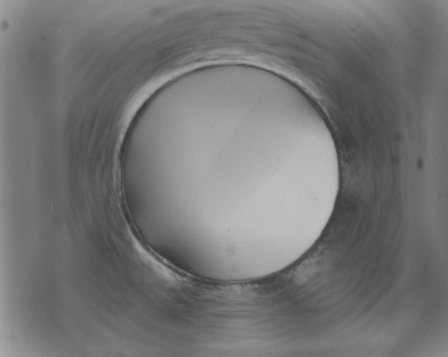 X0000076221527200610191520