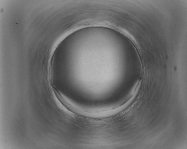 X0000076221528200610191520