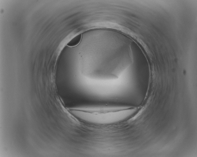 X0000076221529200610191520