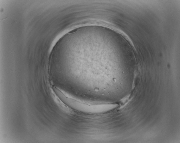 X0000076221530200610191520