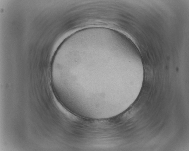 X0000076221531200610191520