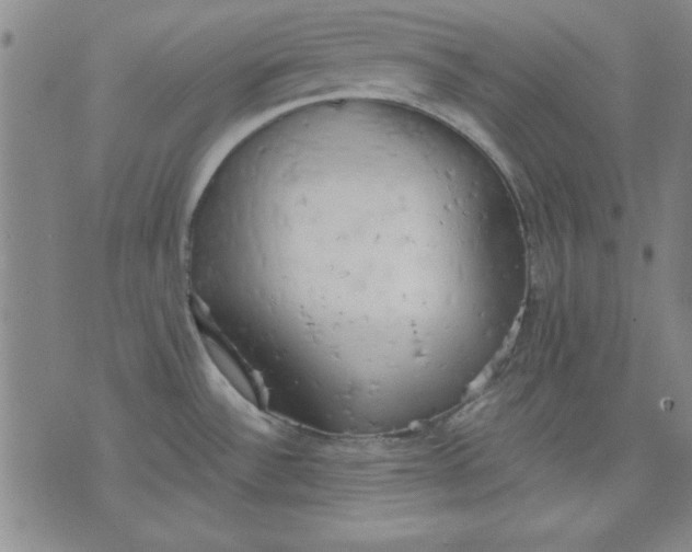 X0000076221532200610191520