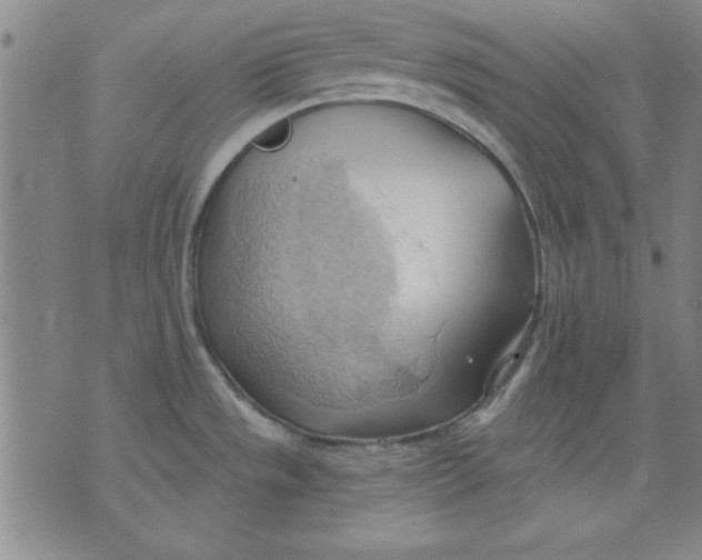 X0000076221533200610191520