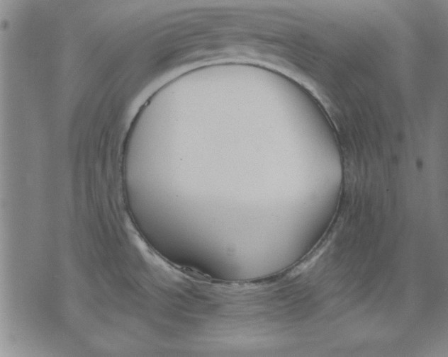 X0000076221534200610191520