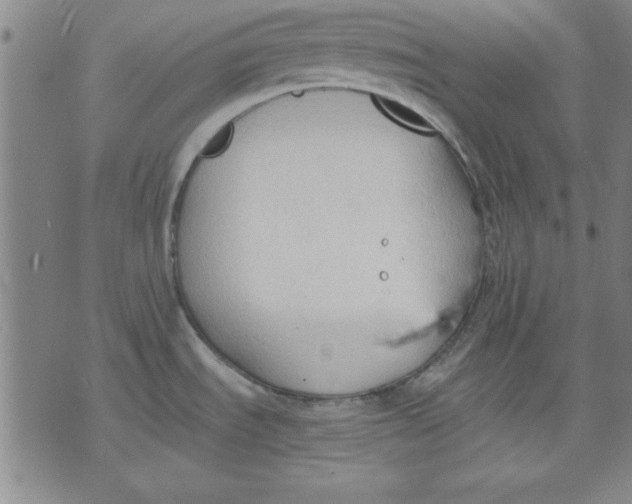 X0000076221535200610191520