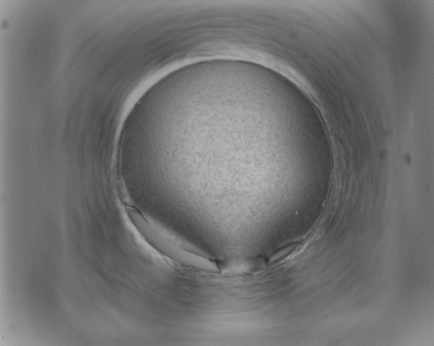 X0000076221536200610191520