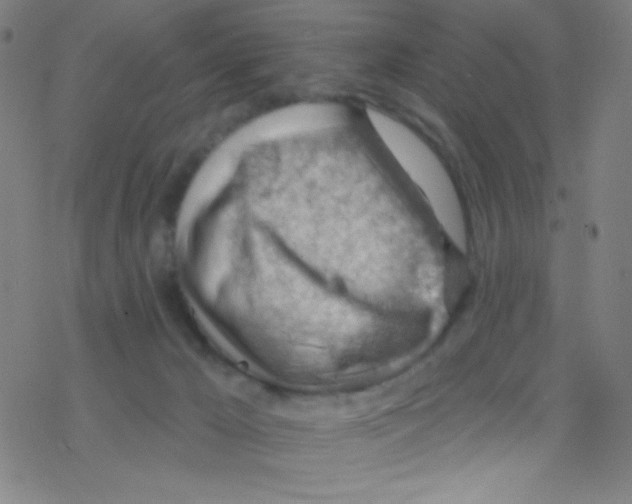 X0000076220029200611012115