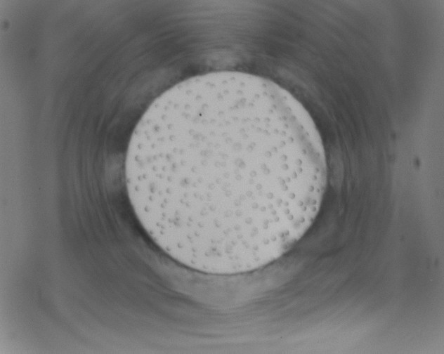 X0000076220034200611012115