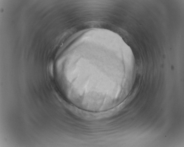 X0000076220047200611012114