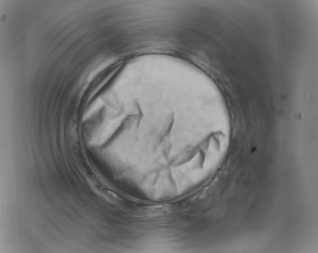 X0000076220050200611012114