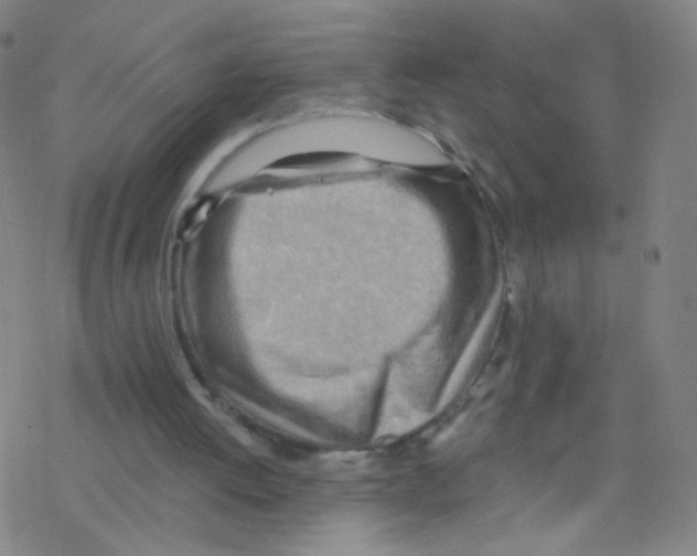 X0000076220052200611012114