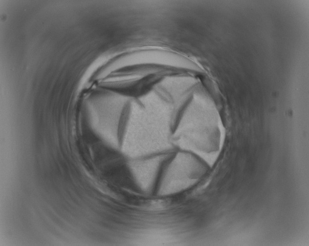 X0000076220056200611012114