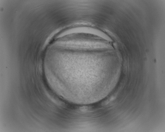 X0000076220064200611012114