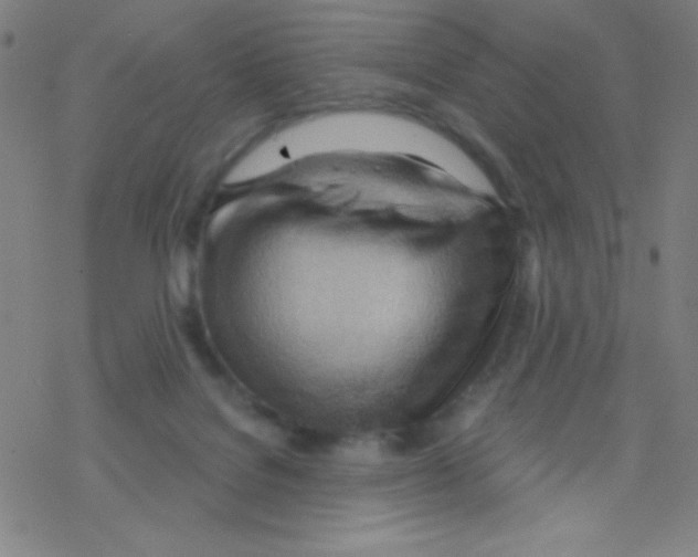 X0000076220076200611012114